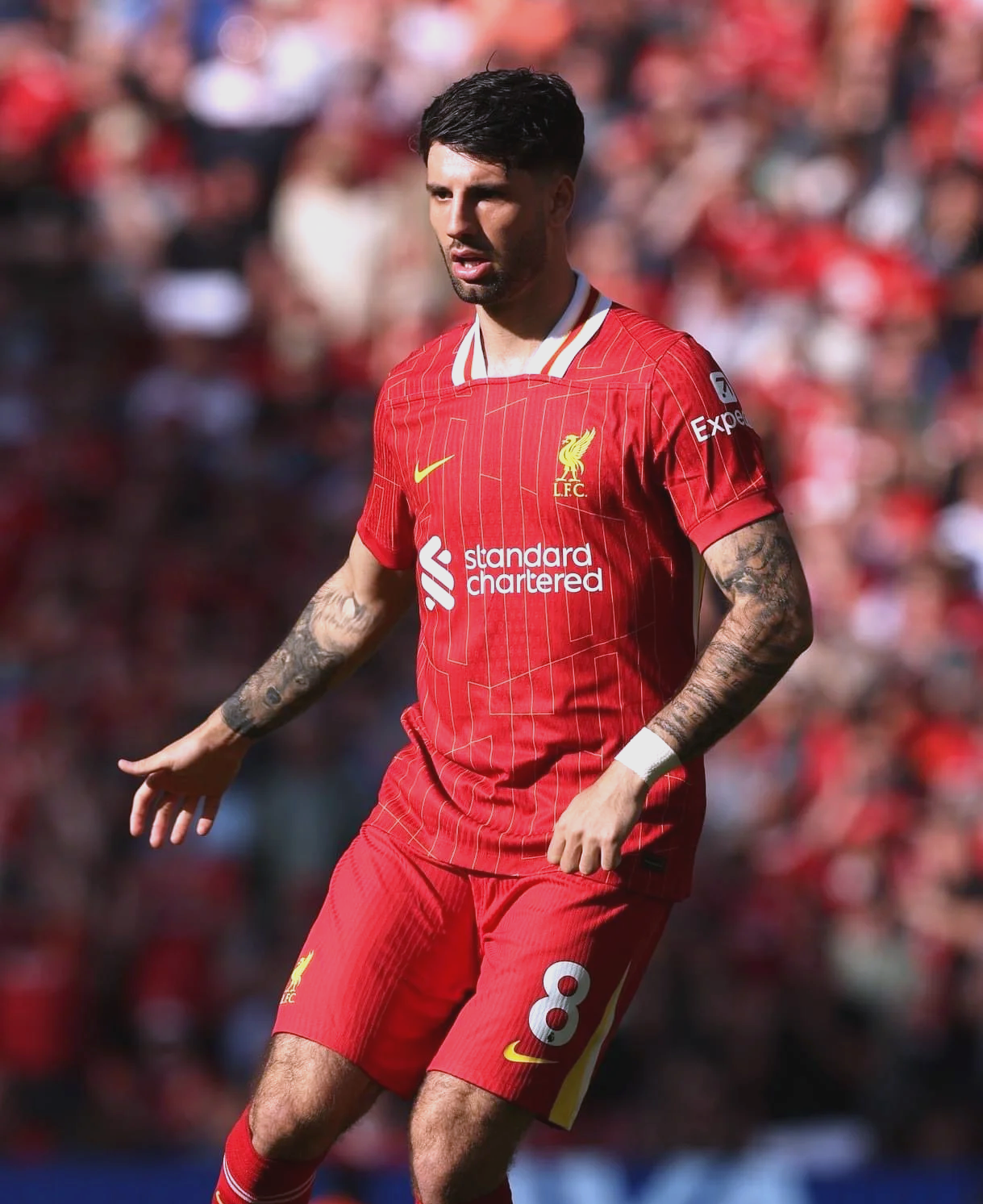 匈牙利球队连续大胜,士气高昂 匈牙利球队连续大胜,士气高昂