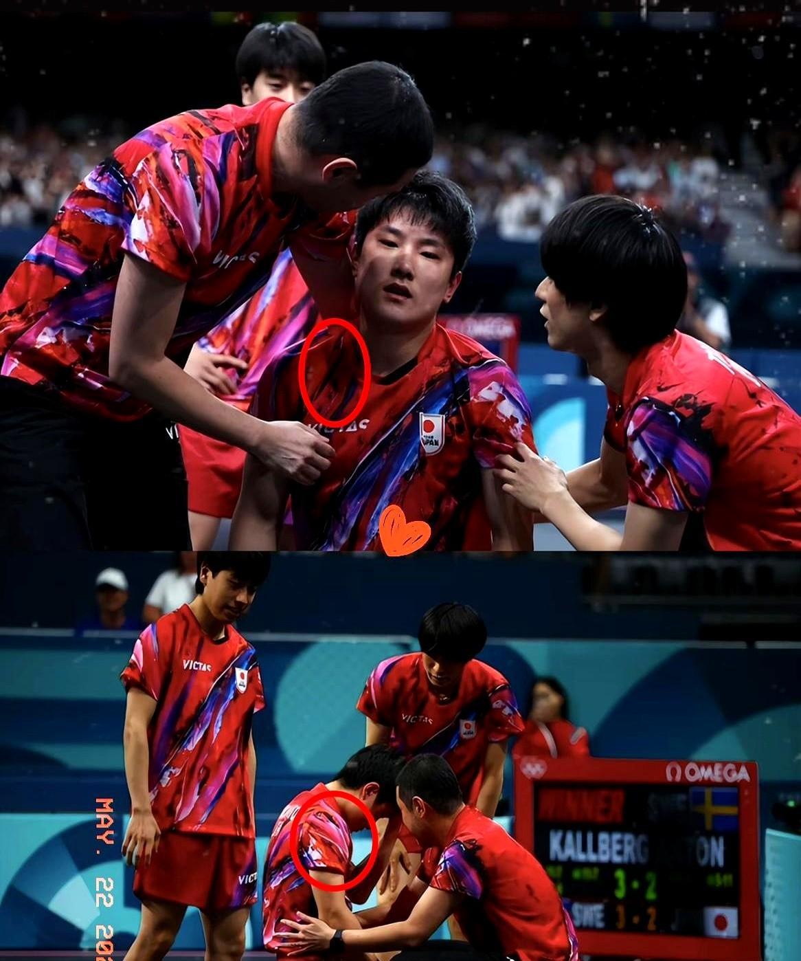 开云-包含奥地利队完胜英格兰队，张本智和状态火热的词条