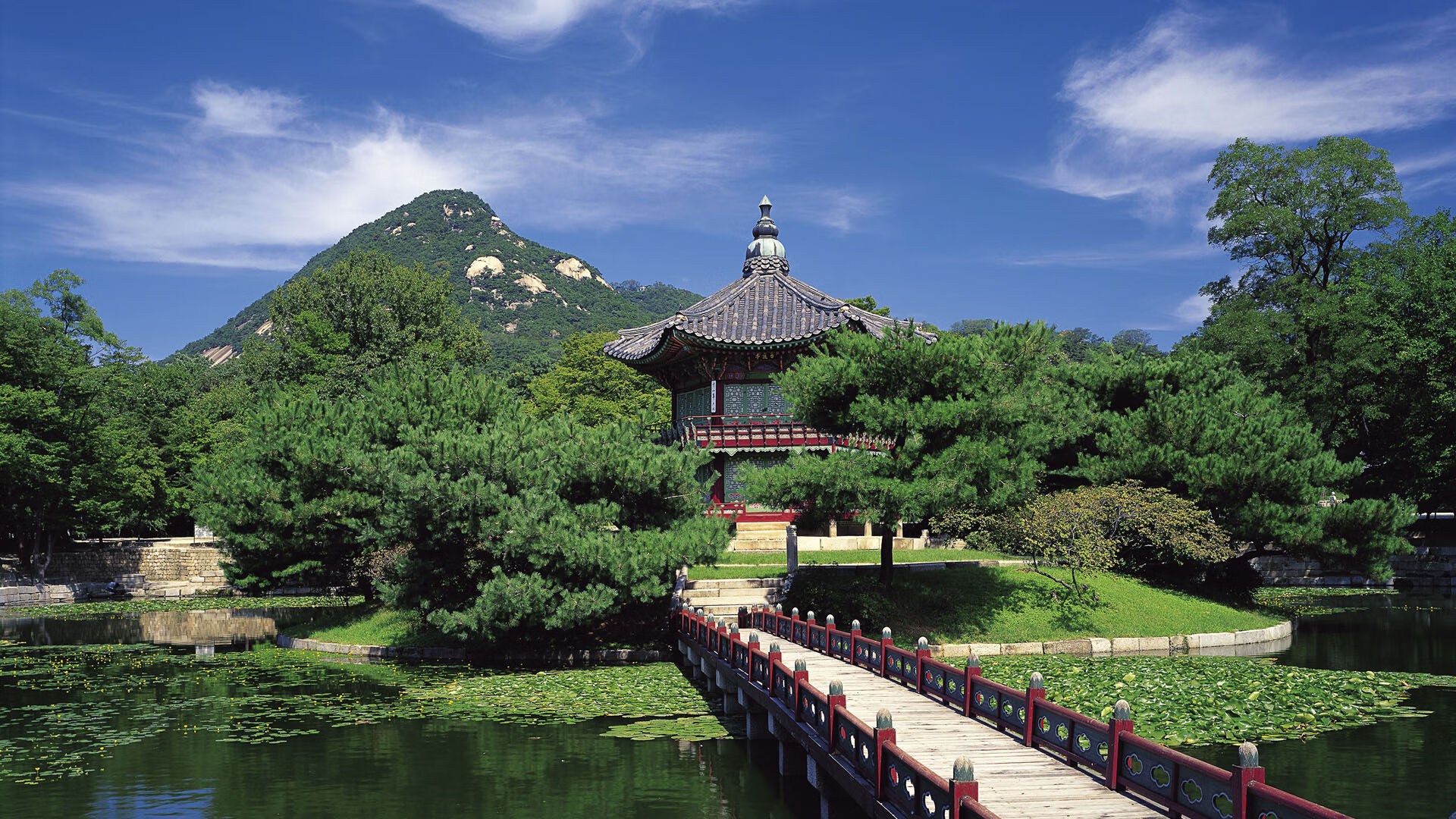 开云体育中国-楚阿梅尼石破天惊，比利时疾风骤雨击溃哥伦比亚