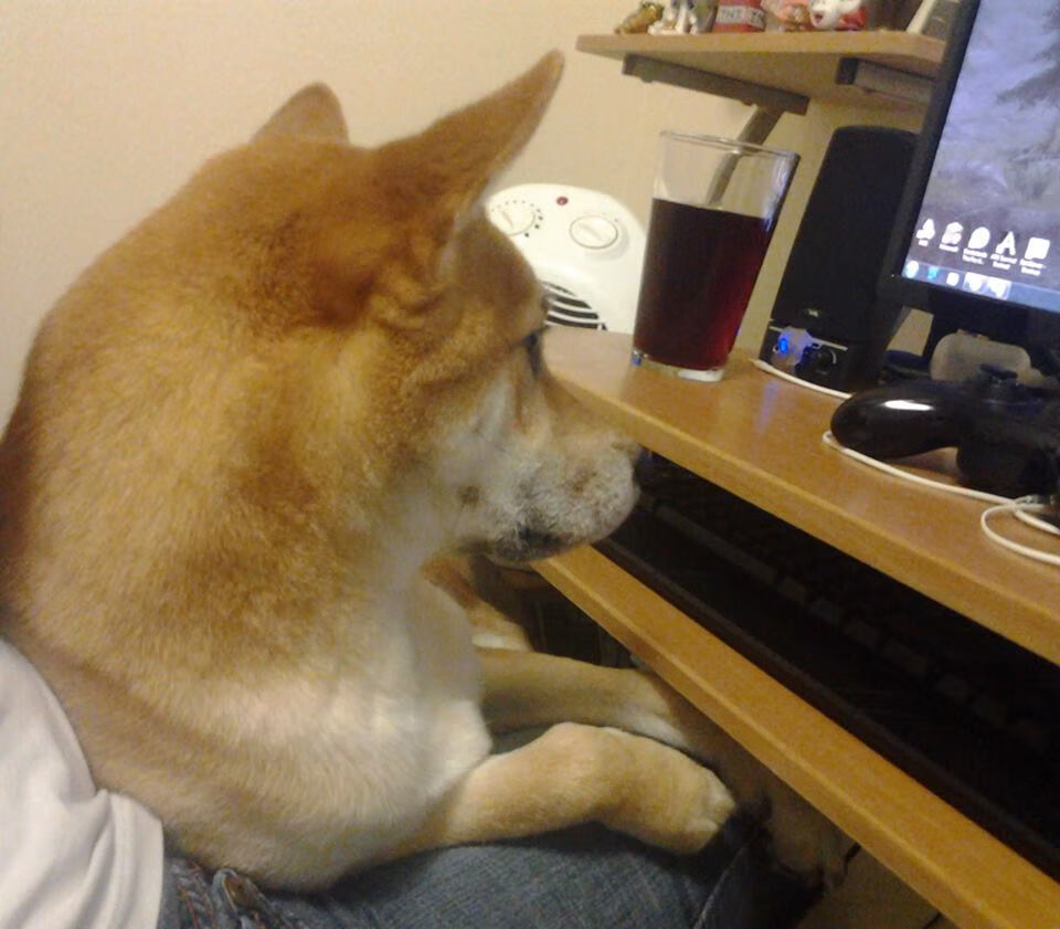 开云sport-无神论者的神迹,当贝林厄姆在希腊对阵勒沃库森时,重新定义神的降临