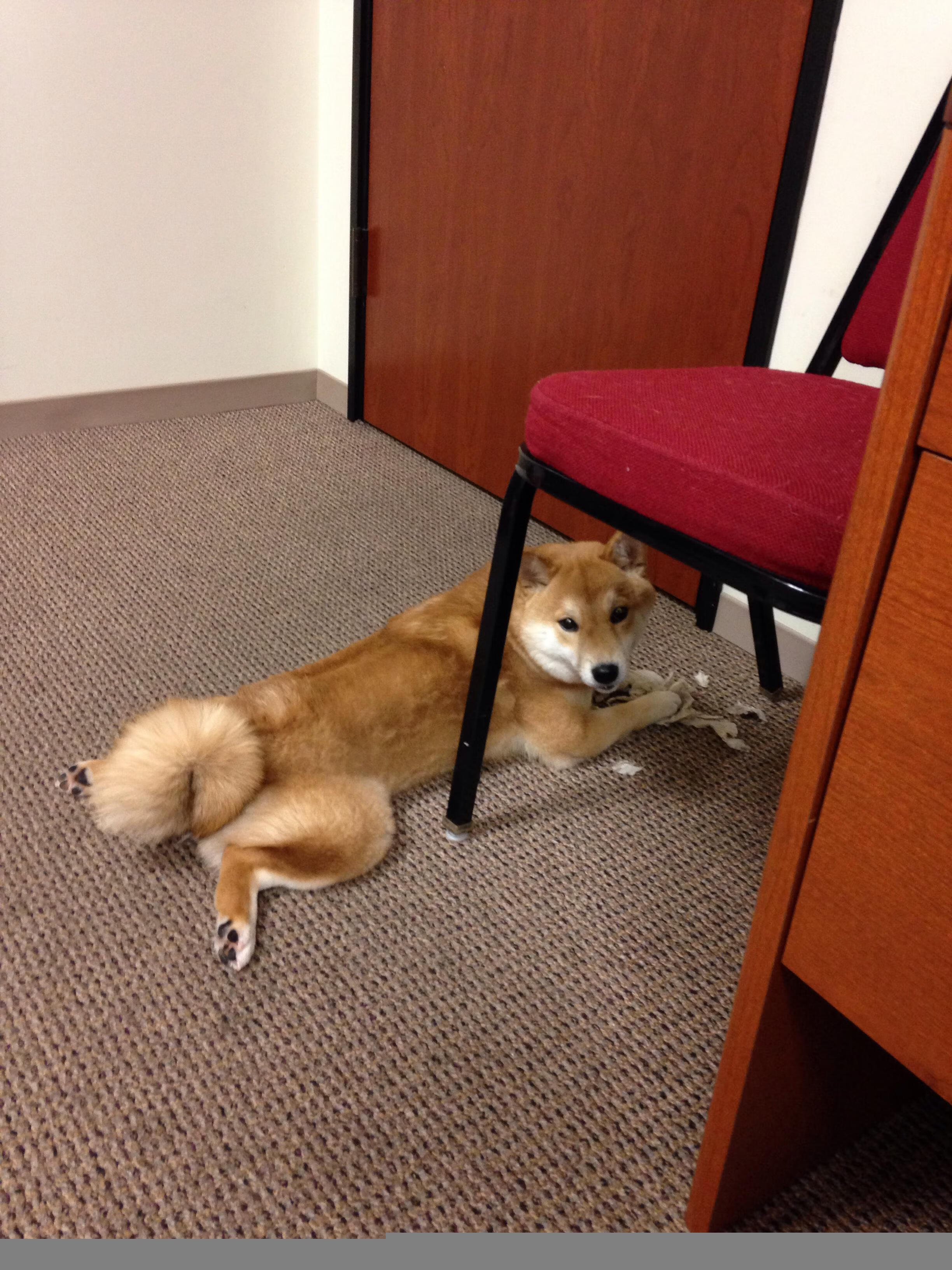 开云-当终场哨遇到单节风暴,唯一性的两种底色