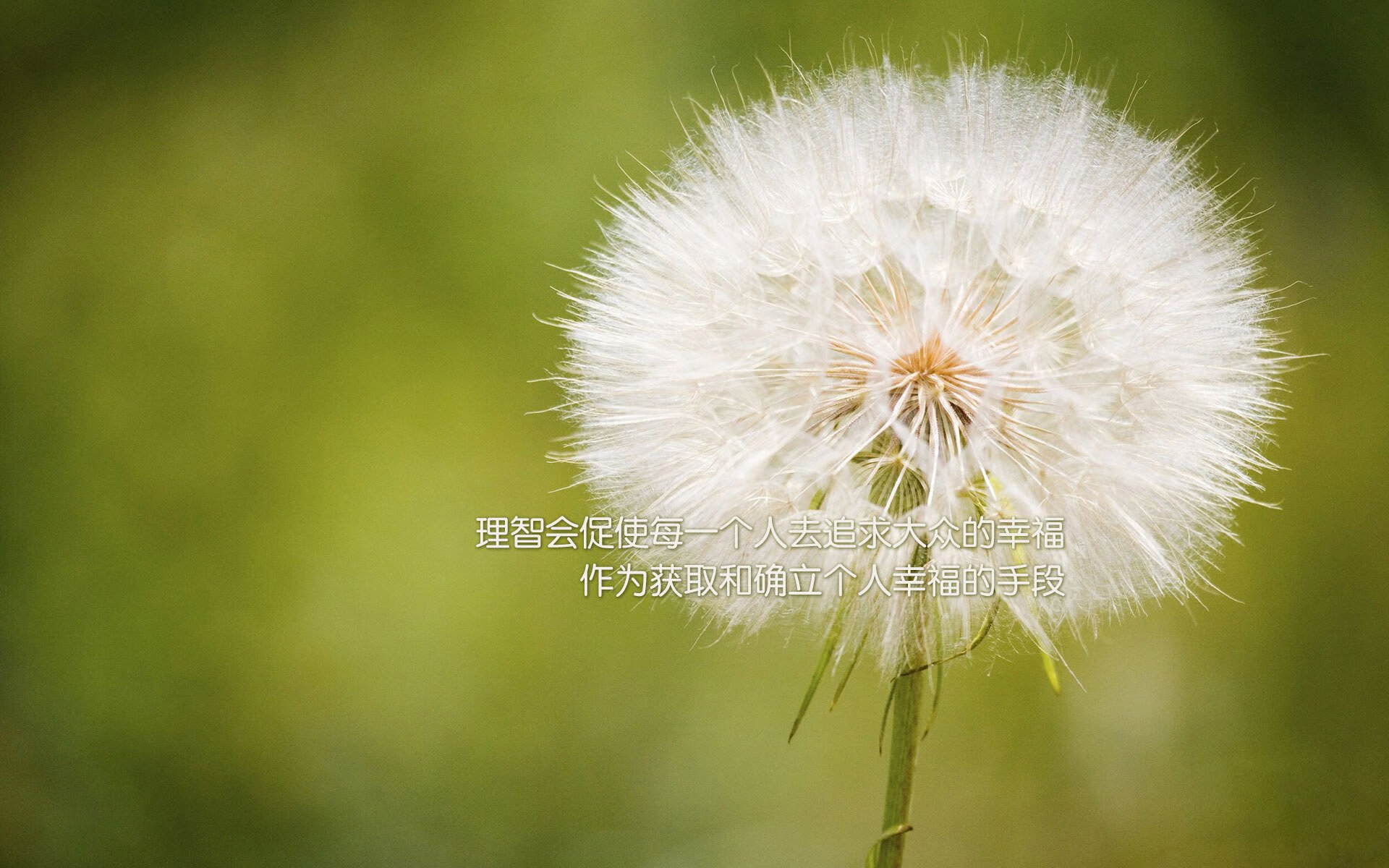 约基奇奏响交响乐，伦纳德的手术刀却切开了胜利的脉搏