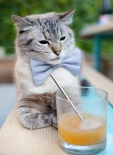 开云体育入口-地球村的新经文，孙兴慜的焰火与马拉喀什的绝杀回响