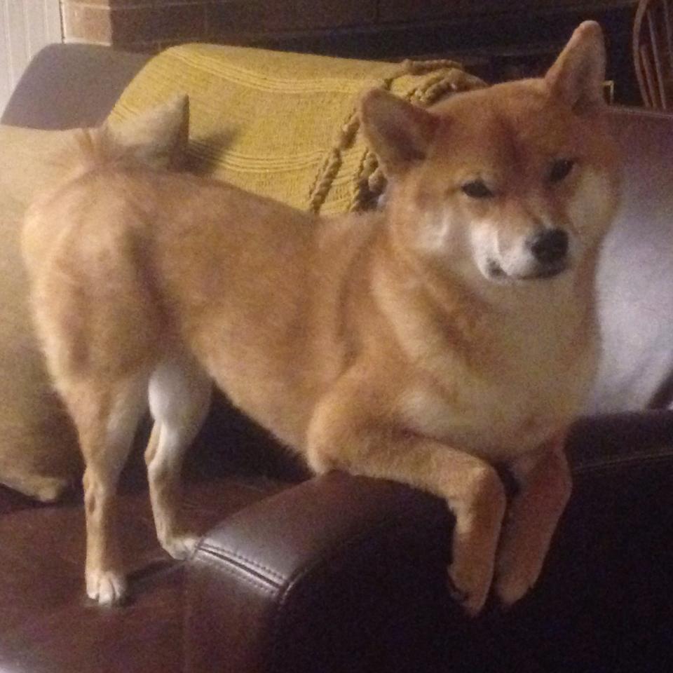 开云体育平台APP-烧胎线与压哨球，在同一个夜晚，我们见证了速度与绝杀的跨界狂欢