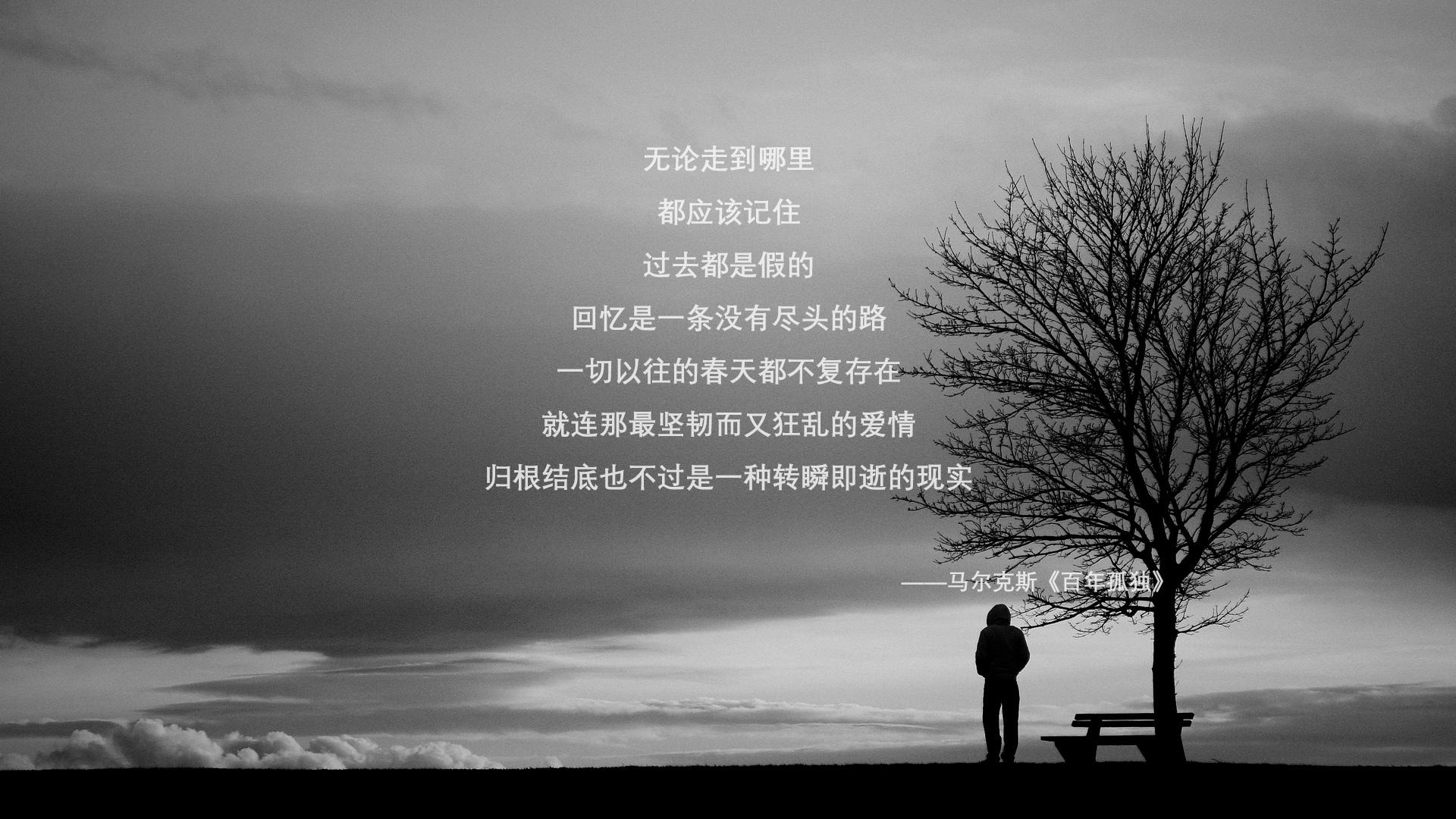 阳光与球网之间，一个特奥运动员如何在奥运前哨战中重写命运