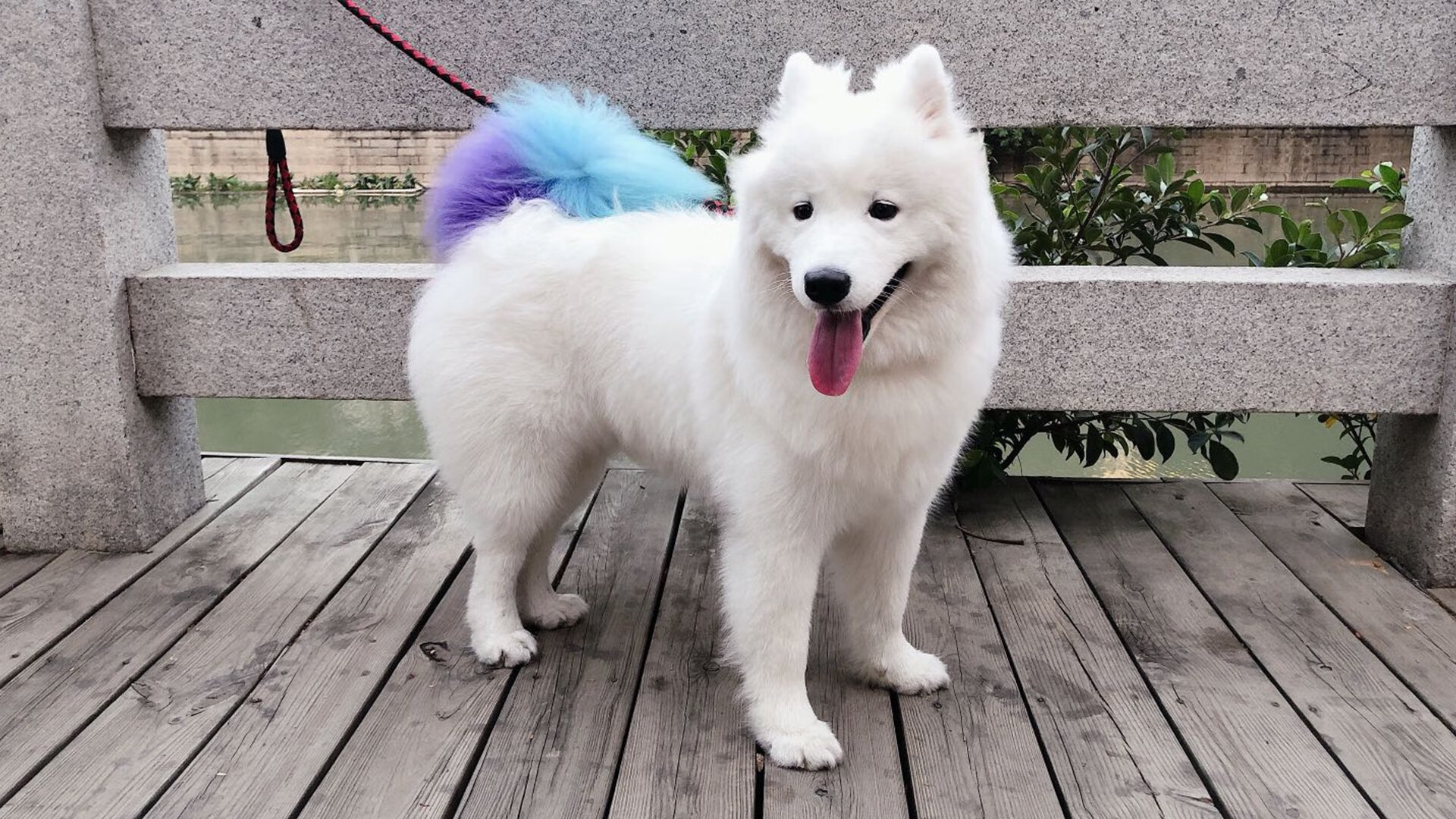 开云平台-神来之笔！萨拉赫致命一击，尼日利亚一波带走挪威