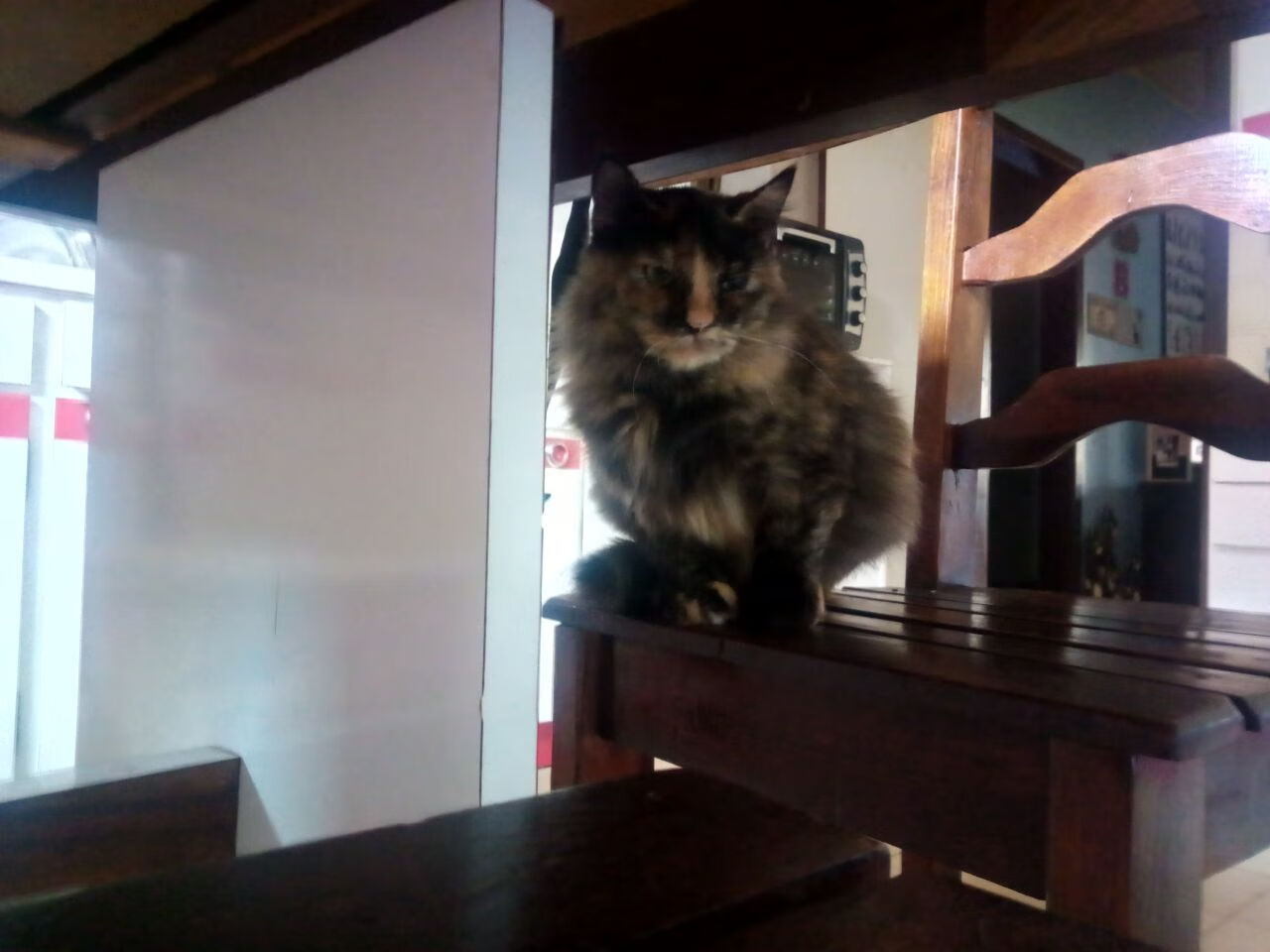 开云APP-跨维度对决，当鹈鹕收割哲学遇上字母哥的接管艺术