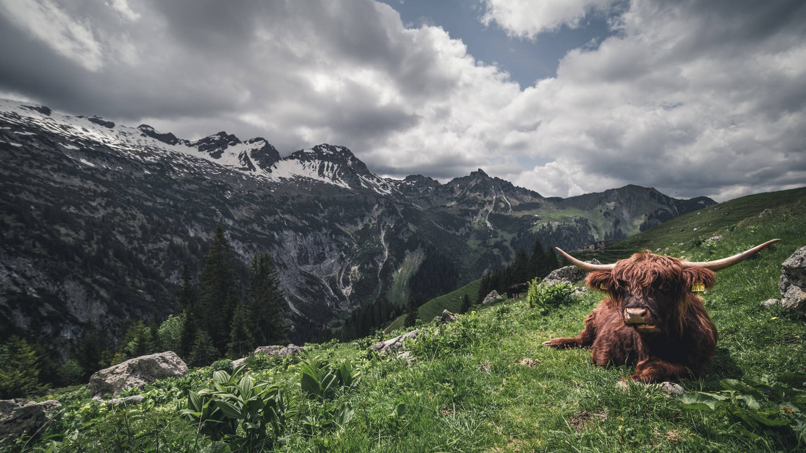 开云体育app-世界杯后的风暴，姆巴佩爆发与阿根廷球星如何助皇马称霸