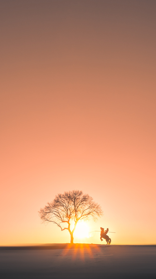 首次突破！锡安抢七狂砍45+15，黄蜂改写历史击败独行侠