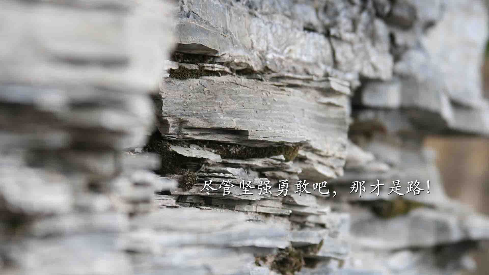 开云APP-布拉格之春，当东欧铁骑踏碎桑巴舞步，2026世界杯上演最冷逆袭