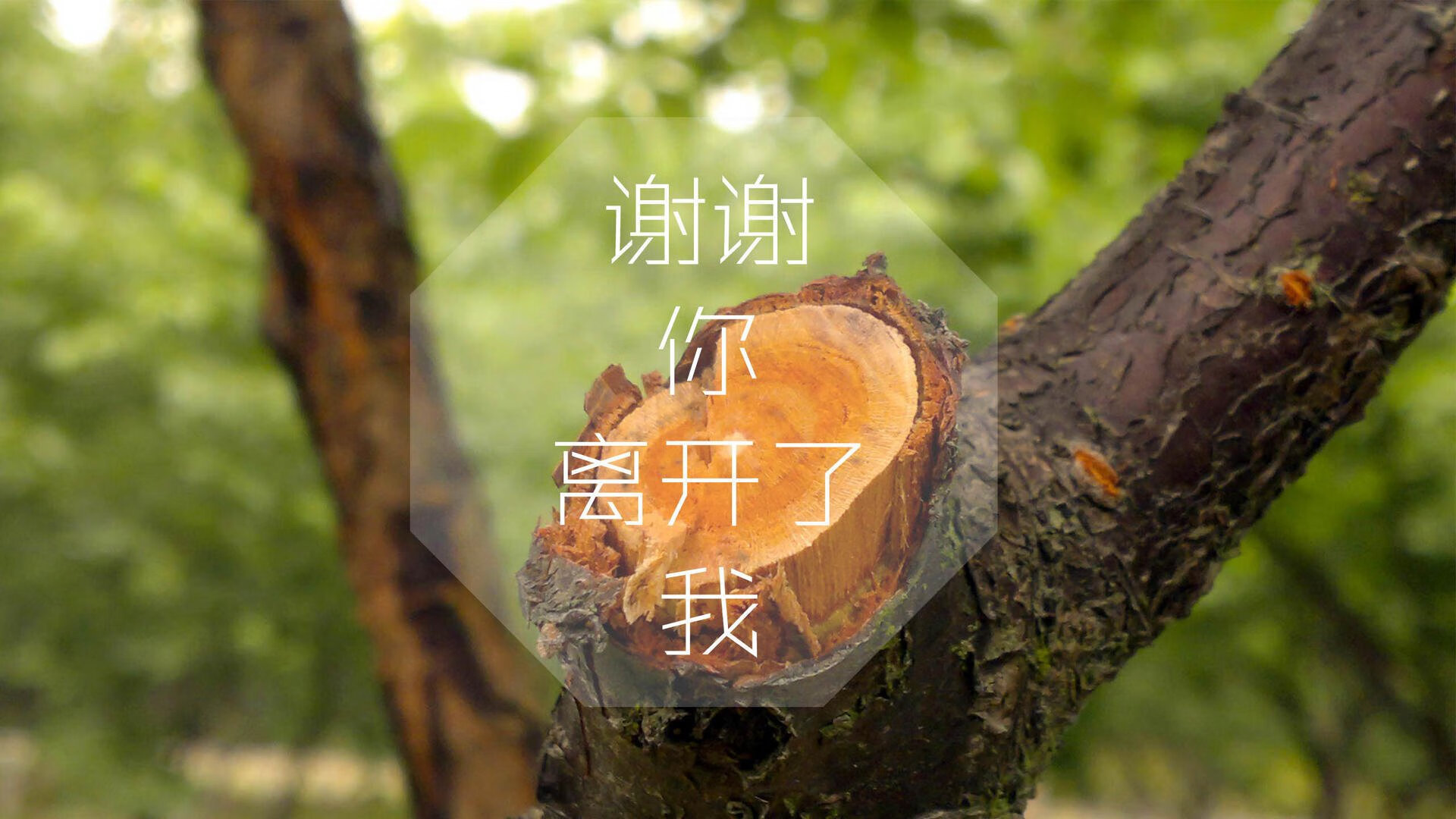 北欧风暴席卷桑巴王国,丹麦铁骑碾碎巴西,久保建英导演亚洲之光