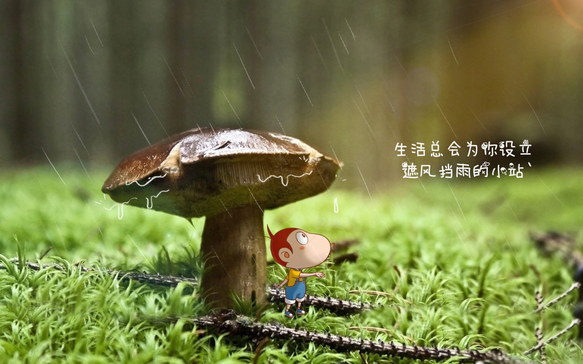 北极光下的魔术师，布罗佐维奇导演挪威风暴，厄瓜多尔在2026世界杯小组赛遭遇完败