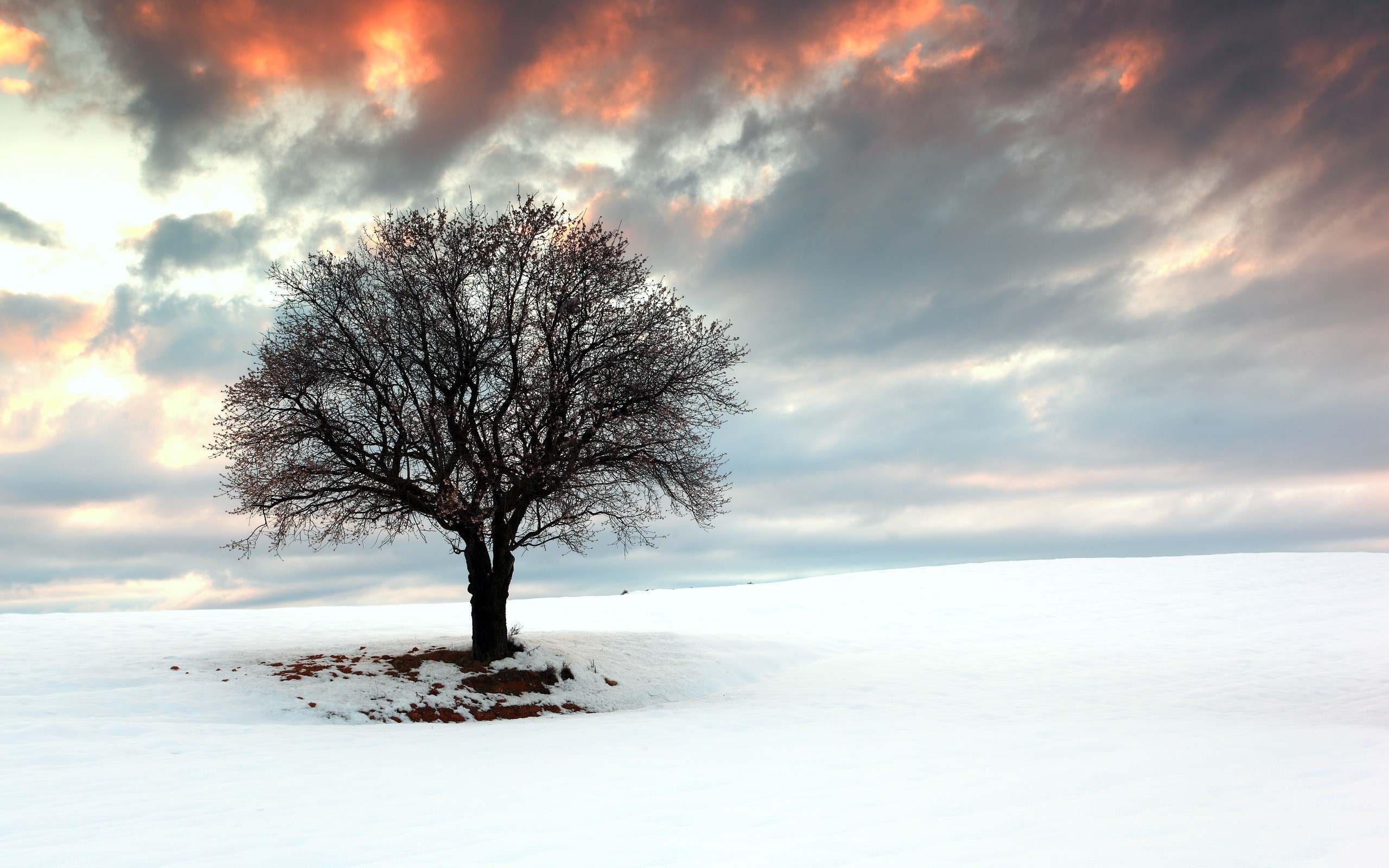 开云体育APP下载-唯一之路，2026世界杯D组生死战，斯洛伐克碾压意大利，孙兴慜带队逆袭书写亚洲荣耀
