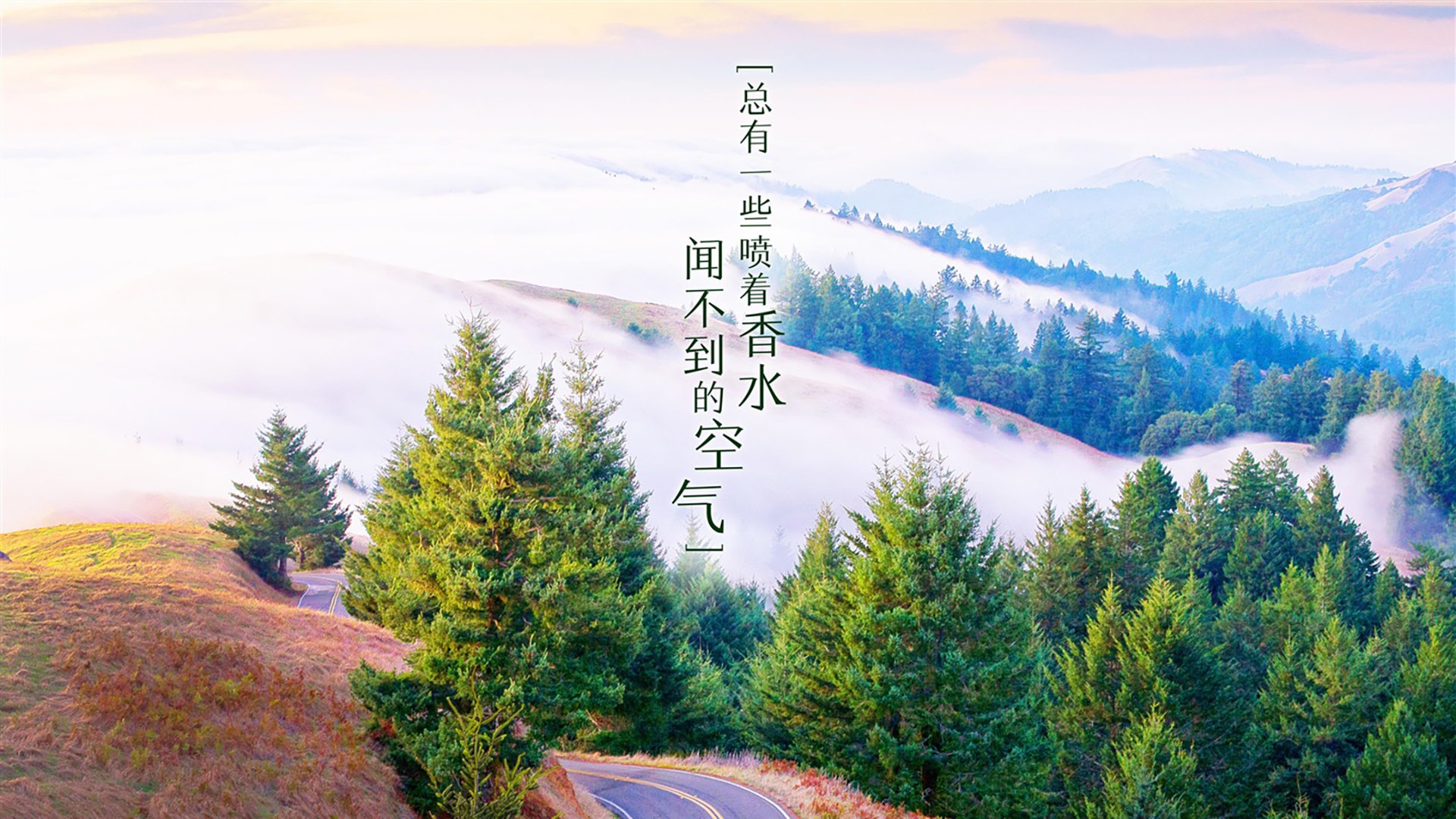 枫叶旗与十字军的冰火对决，当奥斯梅恩的非洲雄狮咆哮，撕裂阿尔卑斯的精密防线