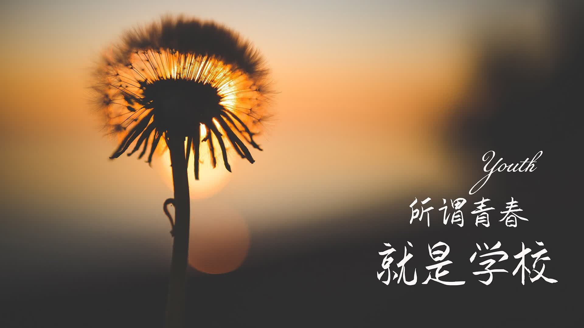 亚平宁的黄昏,喀尔巴阡的黎明,2026世界杯D组,斯洛伐克绝杀意大利,罗德里戈完成致命一击